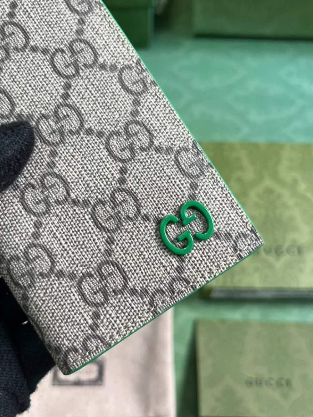 Gucci. dimensions 12